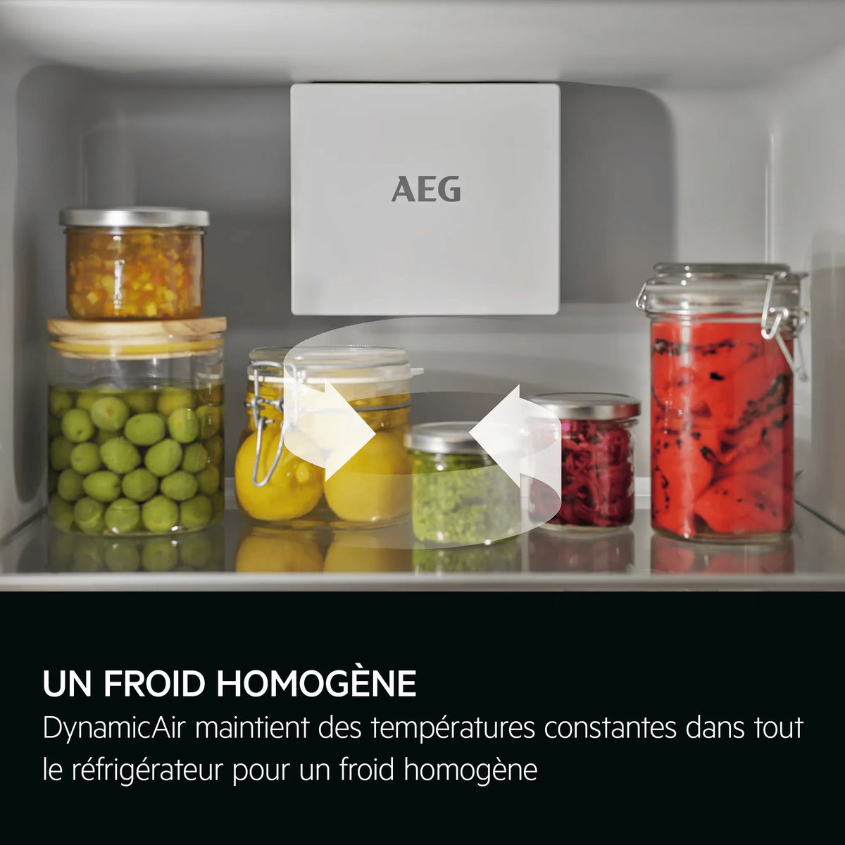 Réfrigérateur Encastrable 177 cm TF6DS181ES | AEG Carre maison